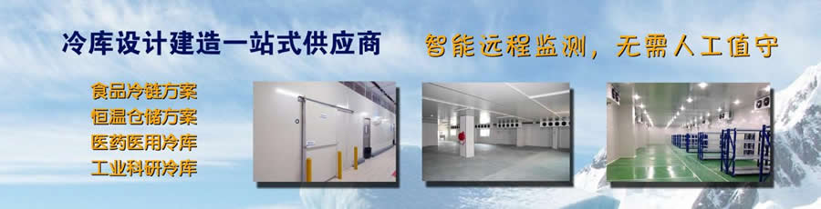 灵蛇网